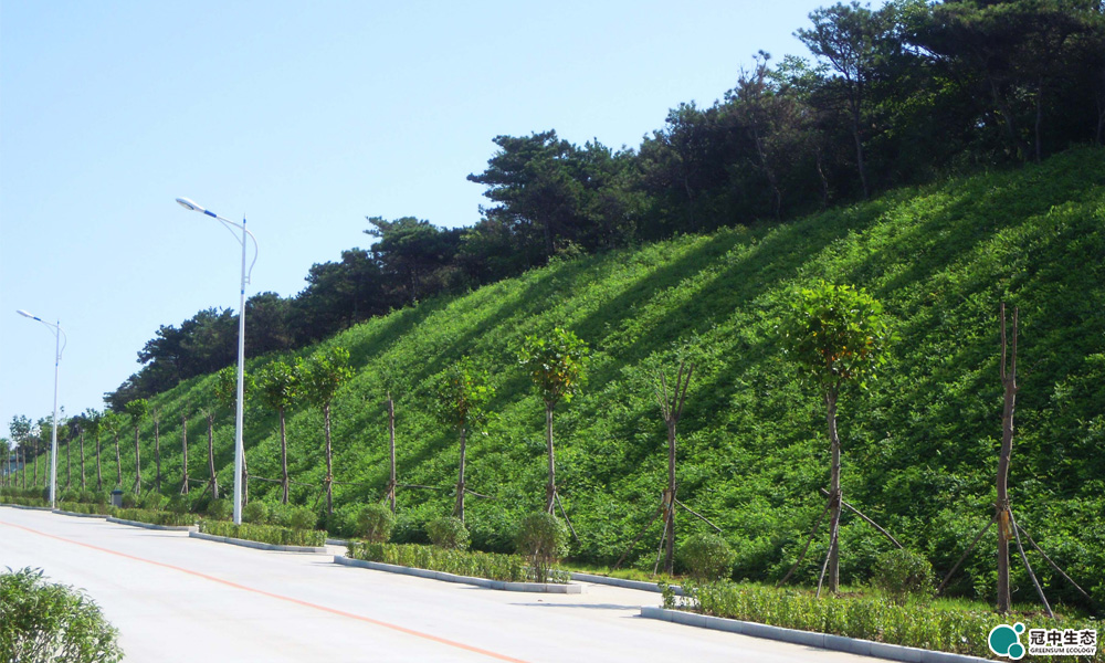 某军区道路边坡绿化修复