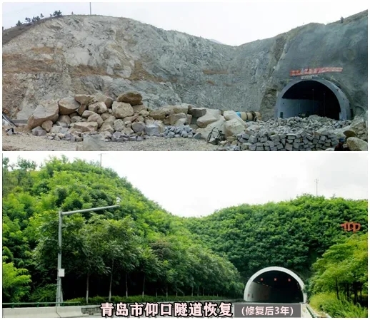 青岛仰口隧道植被修复